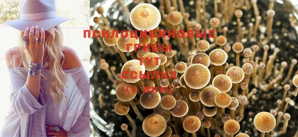 COCAINE Козельск