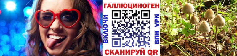 Псилоцибиновые грибы прущие грибы  Орехово-Зуево 